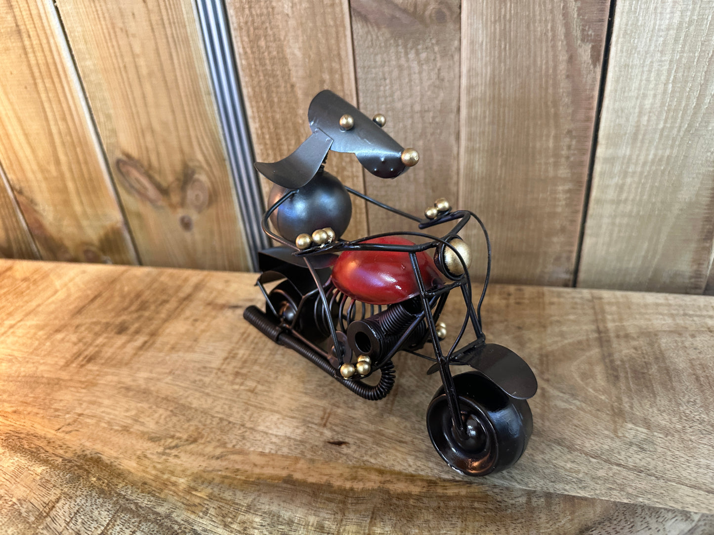 Animaux à moto