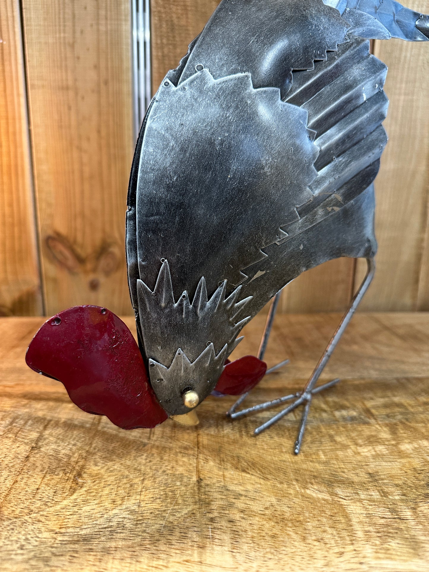 Coq qui picore